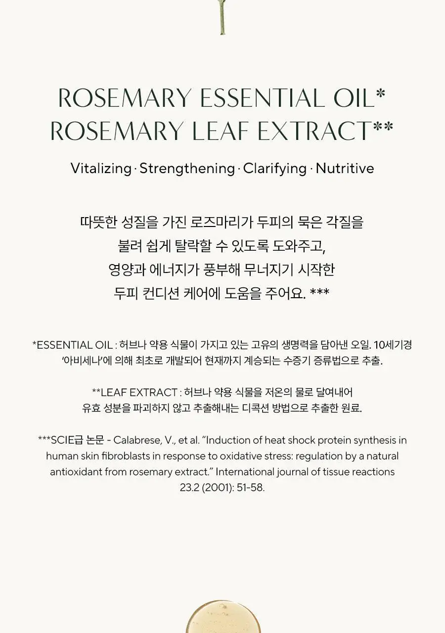 [탈모증상완화] 아로마티카 로즈마리 솔트 스크럽 샴푸 300g 기획(+로즈마리 컨디셔너 100ml) 상세페이지 4